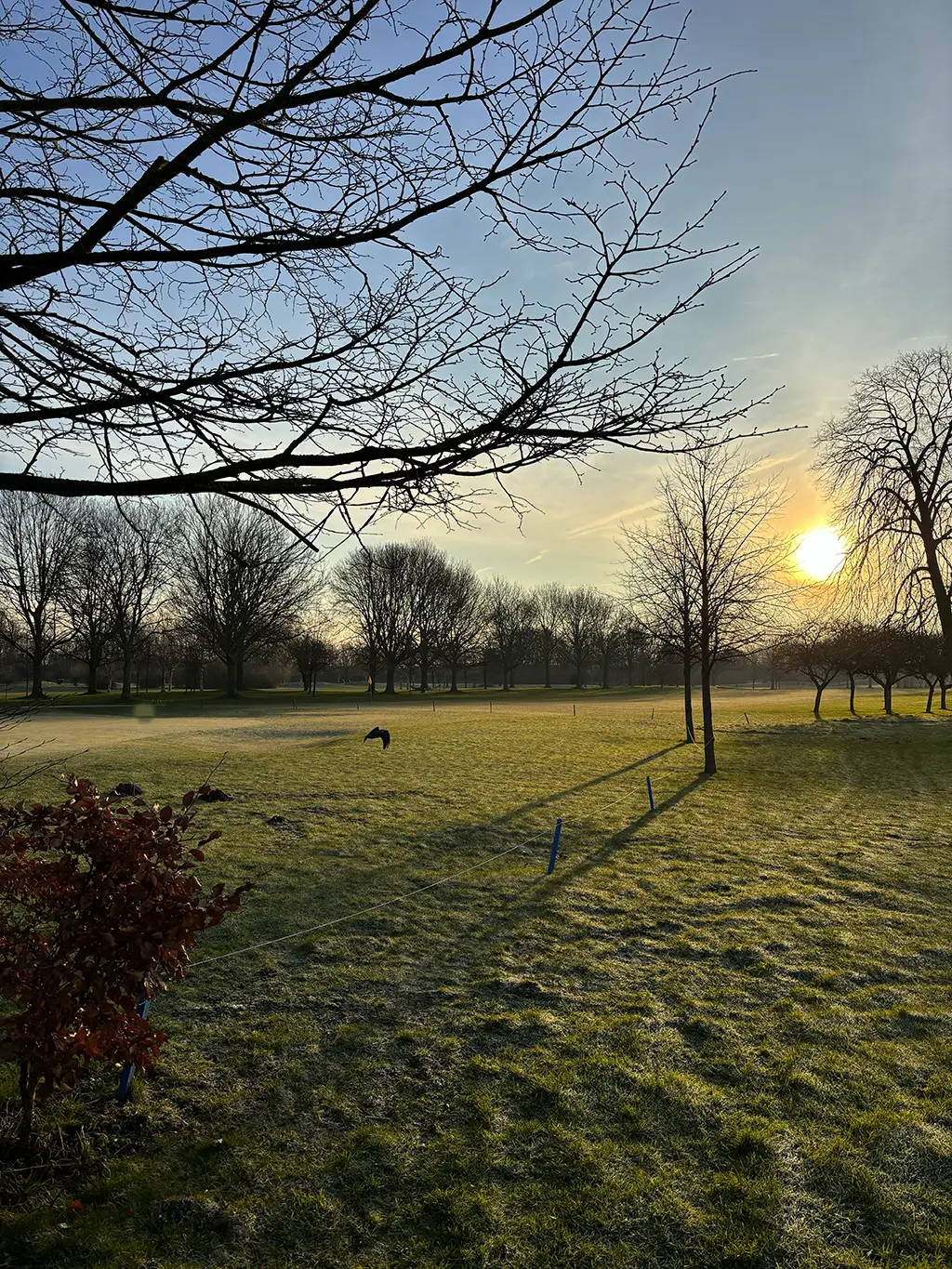 Uitzicht parkeerplaats TWOPINE (Rijswijkse Golf)
